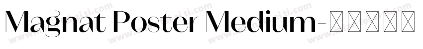 Magnat Poster Medium字体转换
